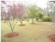 521 Wisemans Ferry Road, Somersby NSW 2250