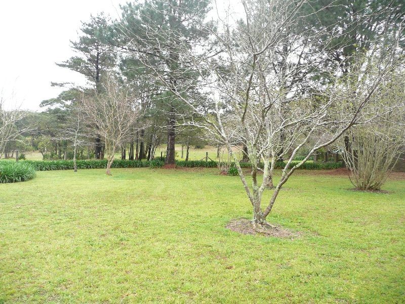 521 Wisemans Ferry Road, Somersby NSW 2250