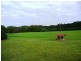 1659 Wisemans Ferry Road, Central Mangrove NSW 2250