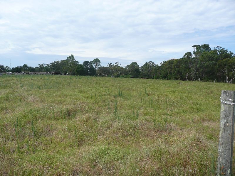 25 Nyah Road, Somersby NSW 2250