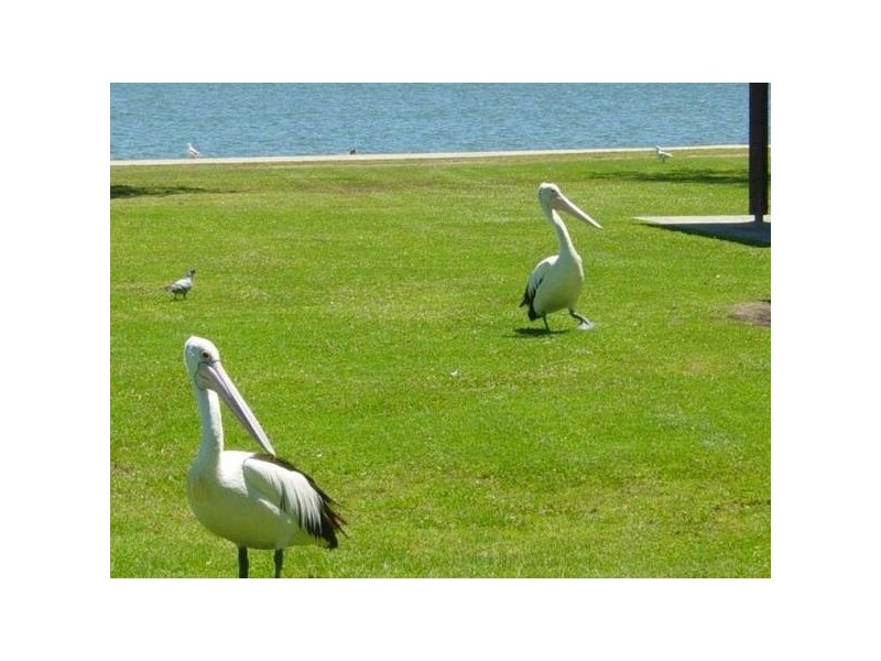 22/1 Mann Street, Gosford NSW 2250