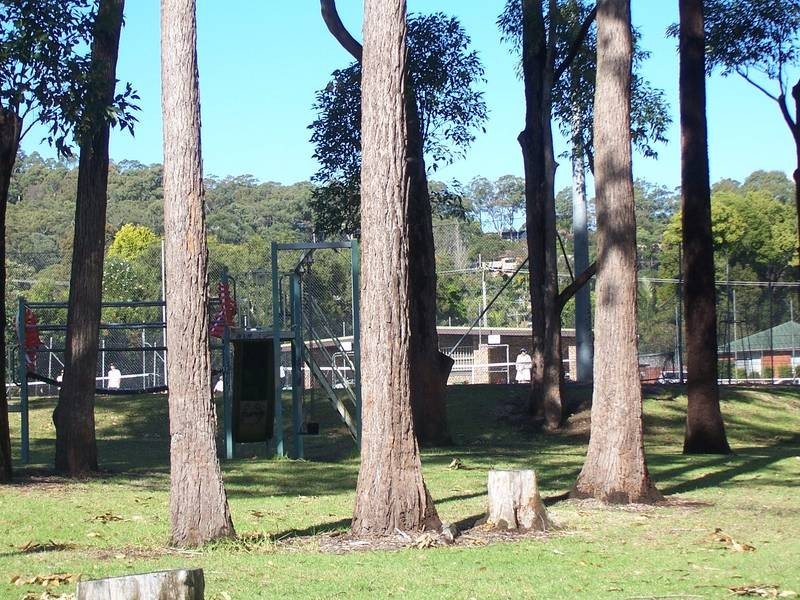 84 Turpentine Street, Wyoming NSW 2250