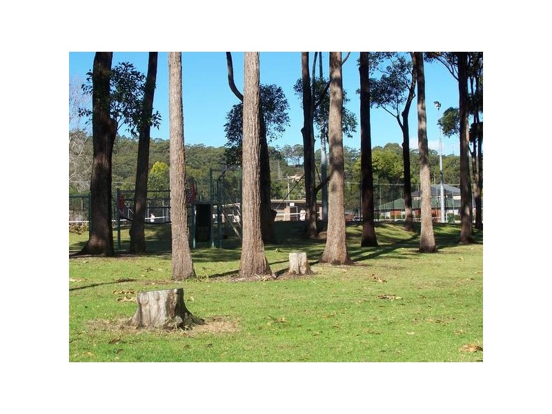 55 Blackbutt Street, Wyoming NSW 2250