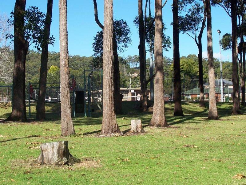 29 Angus Avenue, Wyoming NSW 2250