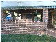Ourimbah NSW 2258