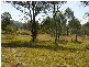Jilliby NSW 2259
