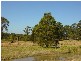 Jilliby NSW 2259