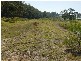 Jilliby NSW 2259