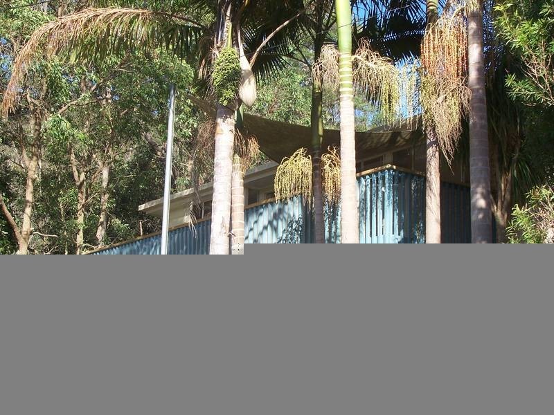 92 Blackbutt Street, Wyoming NSW 2250