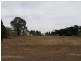 57 River Street, Goulburn NSW 2580