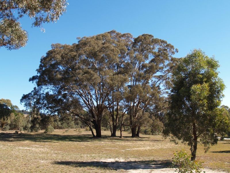 1530 Middle Arm Road, Middle Arm Via, Goulburn NSW 2580