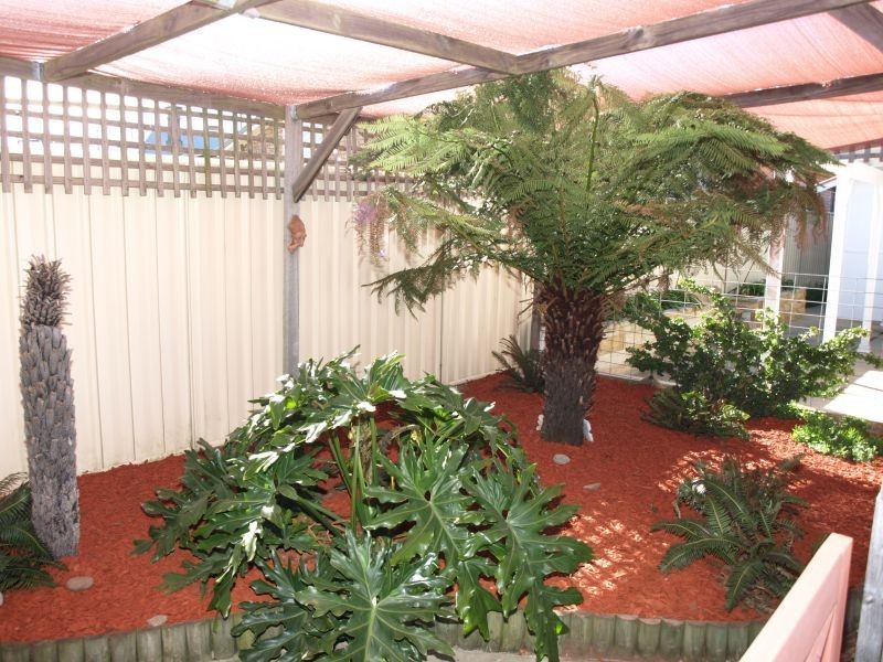 48 Maud Street, Goulburn NSW 2580