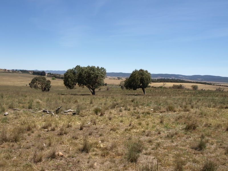 3830 Braidwood Road, Goulburn NSW 2580