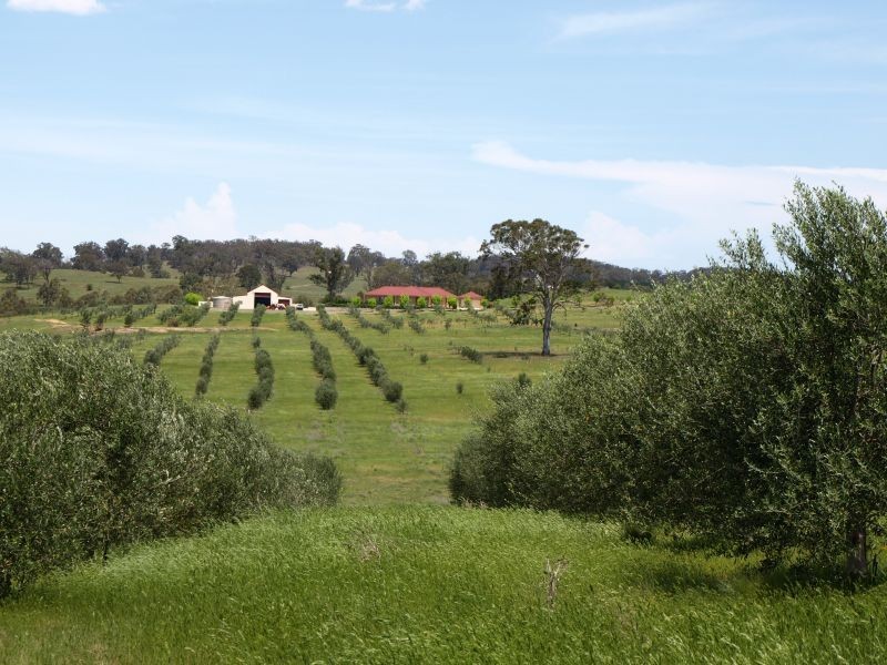 265 Inverary Road, Bungonia NSW 2580