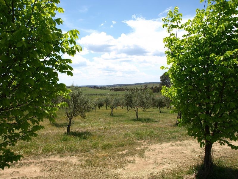 265 Inverary Road, Bungonia NSW 2580