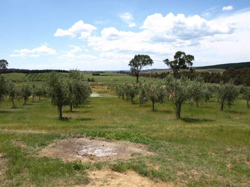 265 Inverary Road, Bungonia NSW 2580