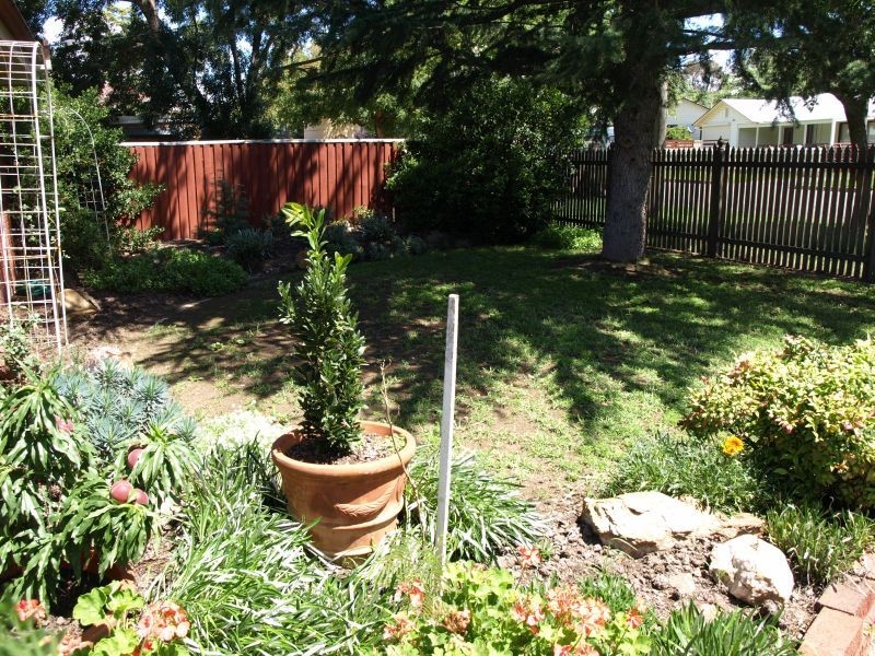 61 Albert Street, Goulburn NSW 2580