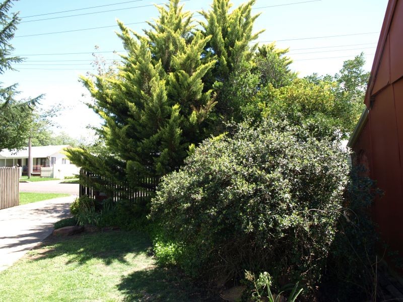 61 Albert Street, Goulburn NSW 2580