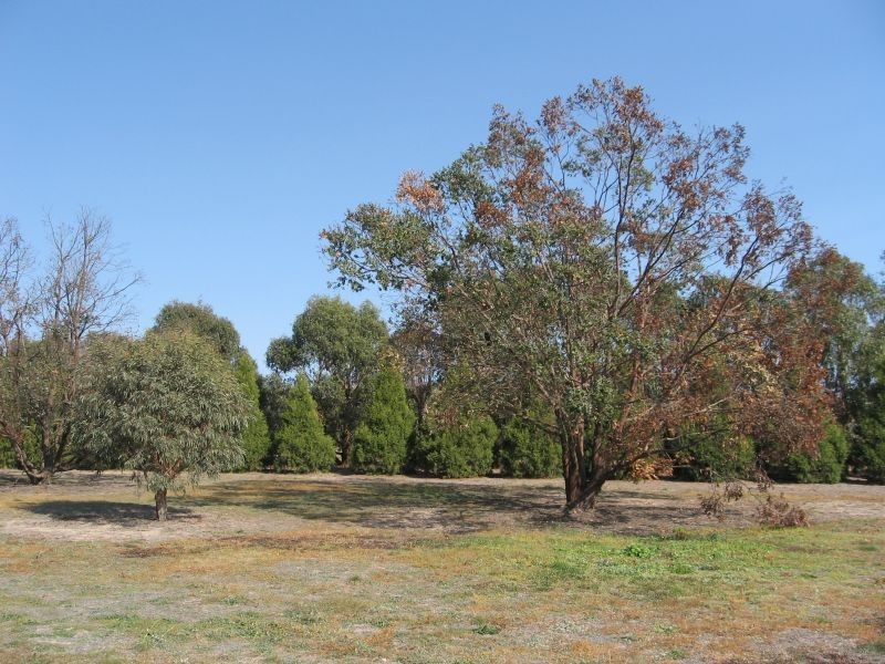 96 Run-o-Waters Drive, Goulburn NSW 2580