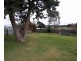 56 Eleanor Street, Goulburn NSW 2580