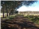 5267 Braidwood Road, Tirrannaville Via, Goulburn NSW 2580