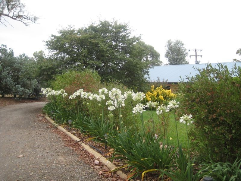 542 Middle Arm Road, Goulburn NSW 2580