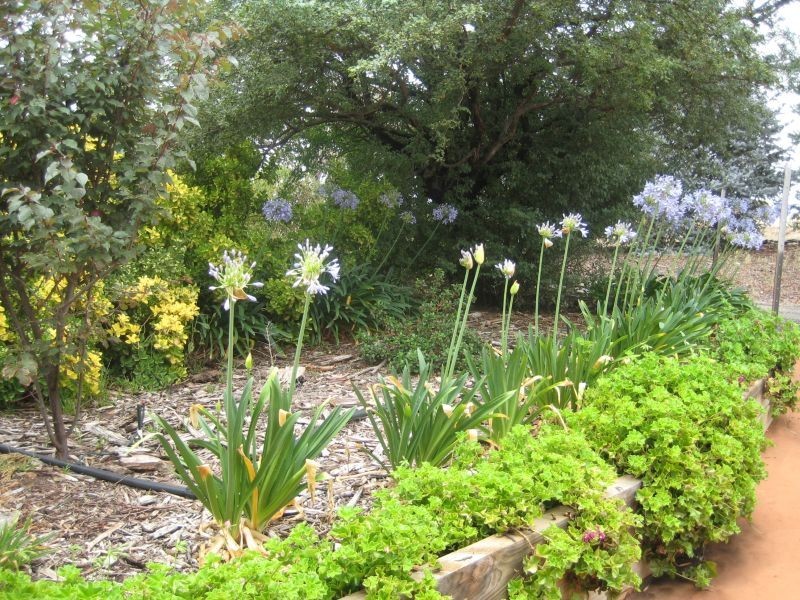 542 Middle Arm Road, Goulburn NSW 2580