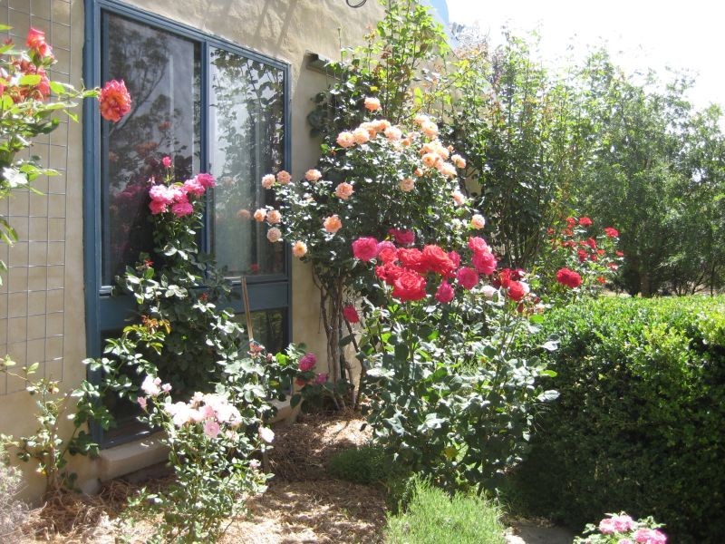 542 Middle Arm Road, Goulburn NSW 2580