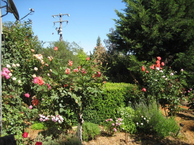 542 Middle Arm Road, Goulburn NSW 2580