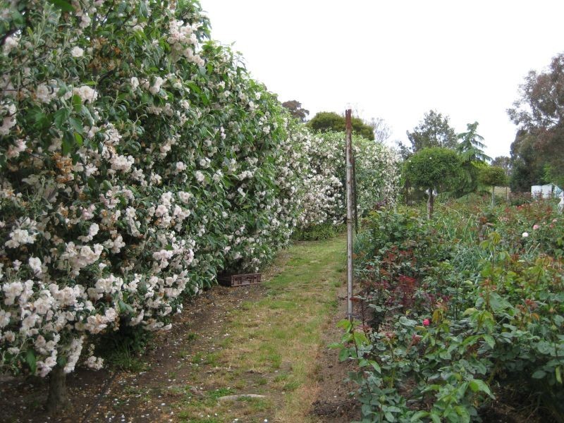 542 Middle Arm Road, Goulburn NSW 2580