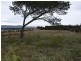 Lot 1021 Marys Mount Road, Goulburn NSW 2580