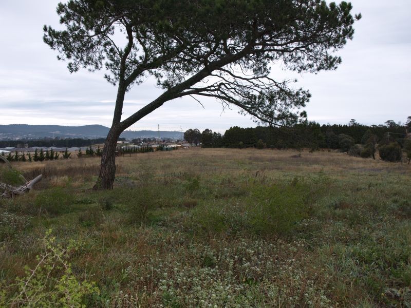 Lot 1021 Marys Mount Road, Goulburn NSW 2580