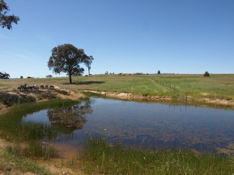 259 Middle Arm Road, Goulburn NSW 2580