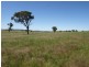 259 Middle Arm Road, Goulburn NSW 2580