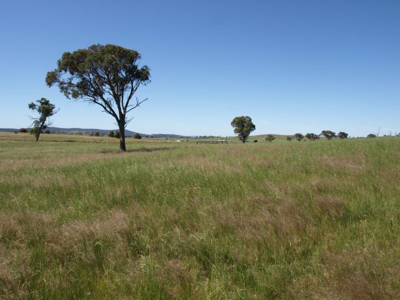 259 Middle Arm Road, Goulburn NSW 2580