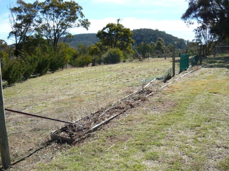 164 Barcham Lane, Bungonia NSW 2580