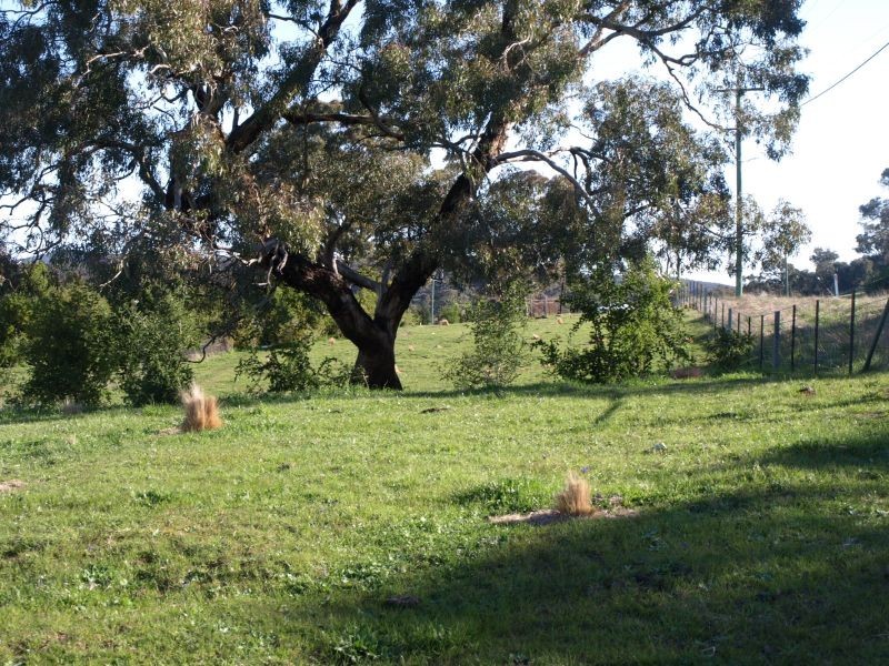 13 Loloma Place, Goulburn NSW 2580