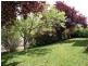 81 Clinton Street, Goulburn NSW 2580