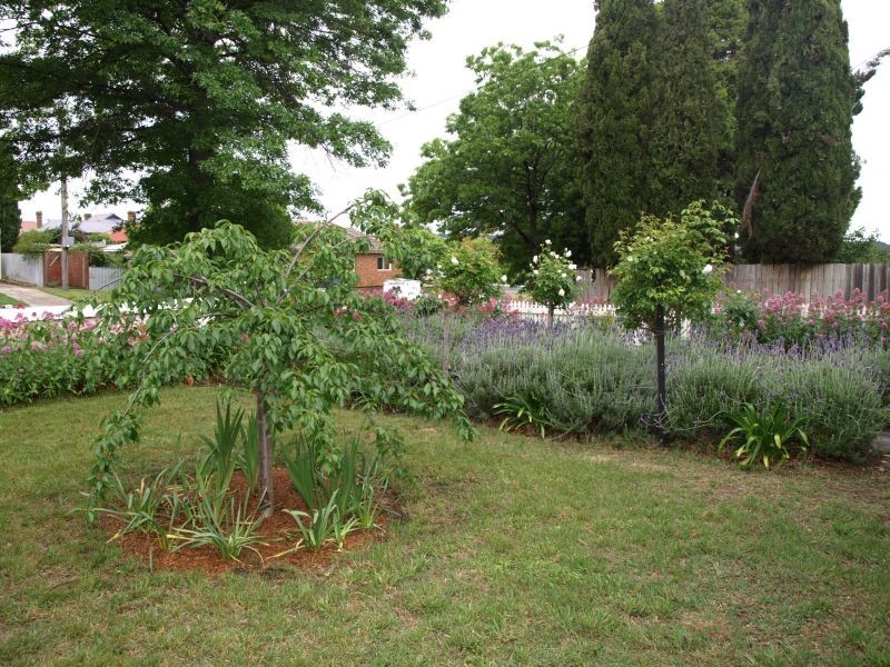 80 Mundy Street, Goulburn NSW 2580