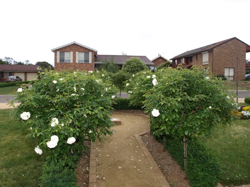 43 Chantilly Court, Goulburn NSW 2580