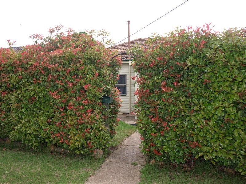 7 Hume Street, Goulburn NSW 2580