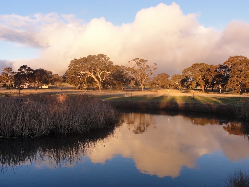 477 Mountain Ash Road, Goulburn NSW 2580