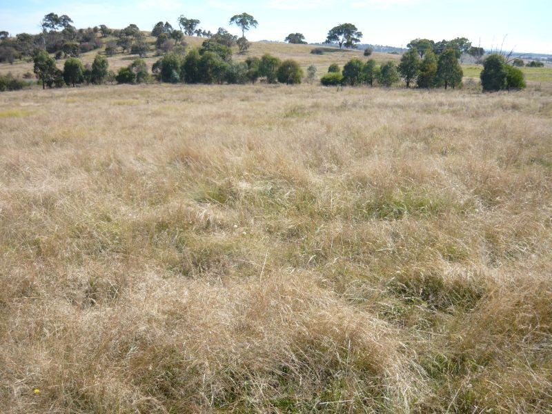 5026 Braidwood Road, Goulburn NSW 2580