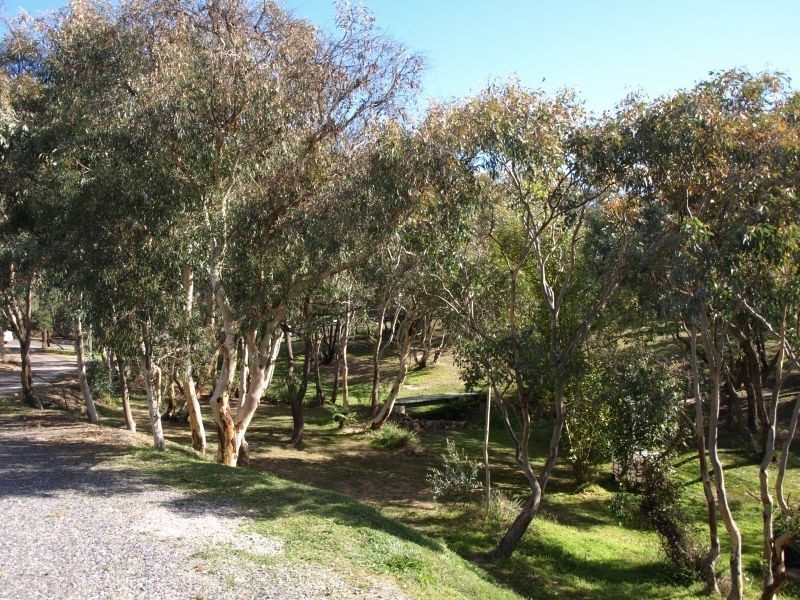 24 Henderson Street, Goulburn NSW 2580