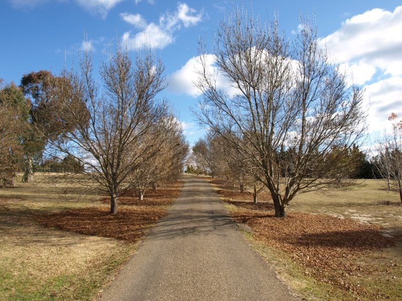 166 Ducks Lane, Goulburn NSW 2580