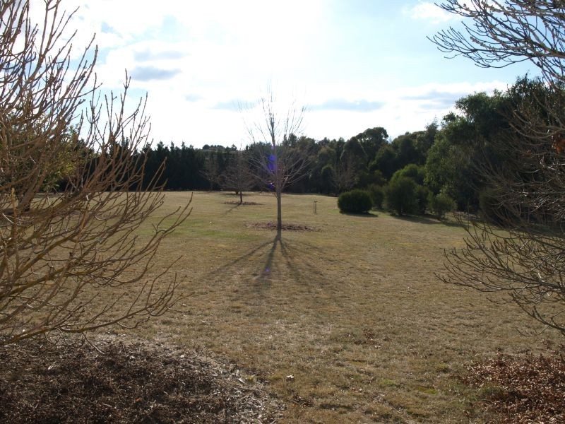 166 Ducks Lane, Goulburn NSW 2580