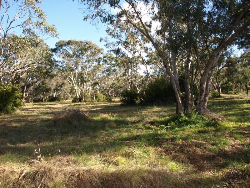 48 Cathcart Street, Goulburn NSW 2580