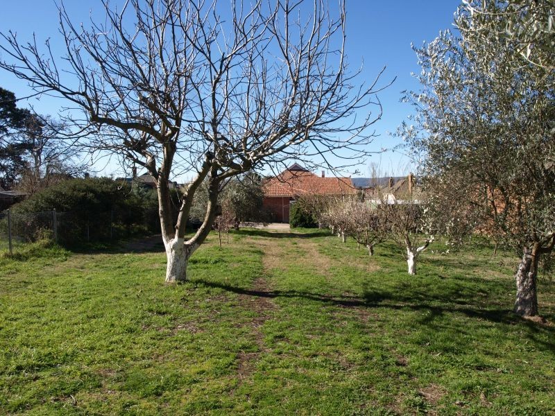 84 Clifford Street, Goulburn NSW 2580
