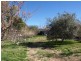 84 Clifford Street, Goulburn NSW 2580