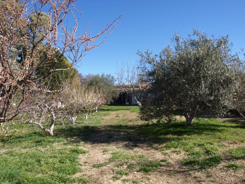 84 Clifford Street, Goulburn NSW 2580